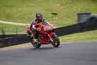 Lower Group Red Bikes